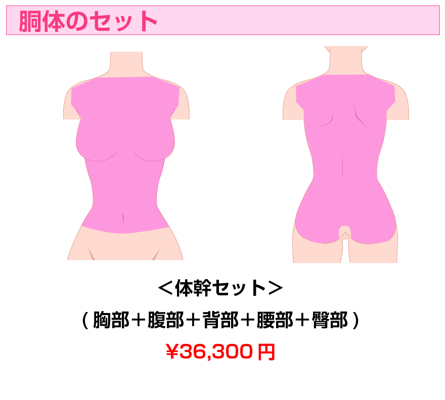 胴体セット | 医療レーザー脱毛