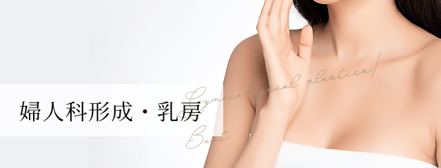 婦人科形成・乳房