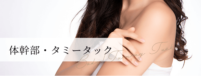 体幹部・タミータック