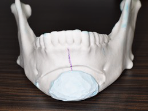 3Dプリンターにシリコーン系粘土で予想図を作成したもの1
