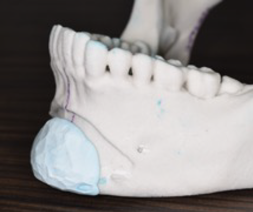 3Dプリンターにシリコーン系粘土で予想図を作成したもの2