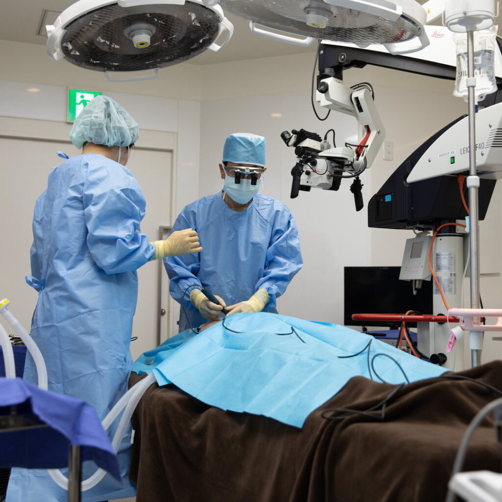 バイオペックス(人工骨 : ペースト状ハイドロキシアパタイト製剤)の手の様子